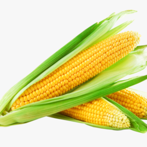 Sweet Corns